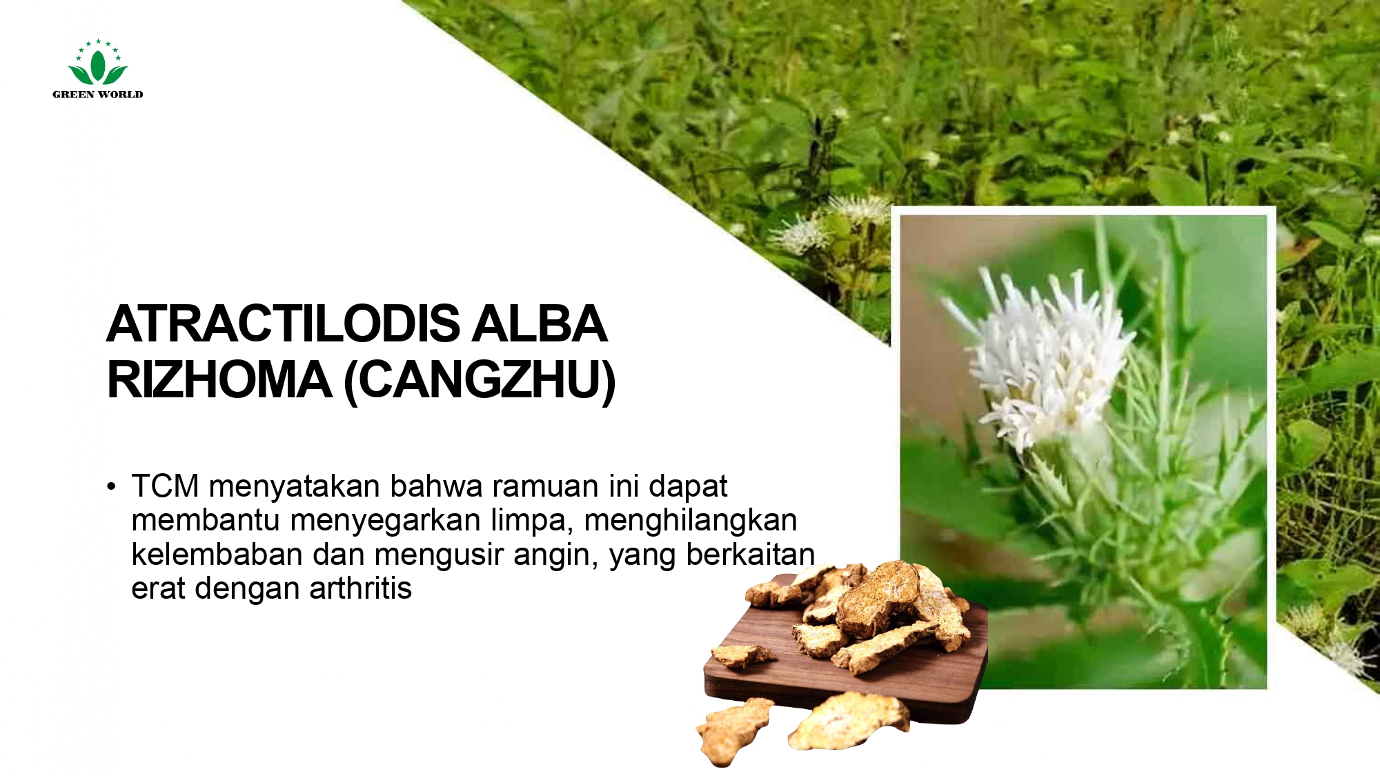 Education content image